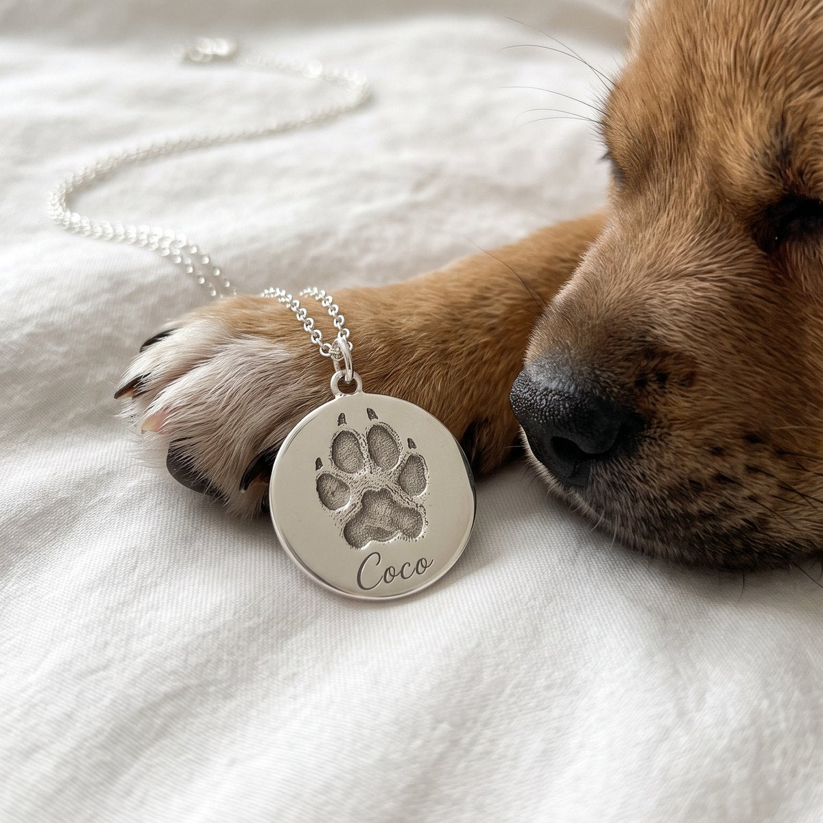 Cachorro dormido junto a un collar plateado con su huella real y el nombre Coco