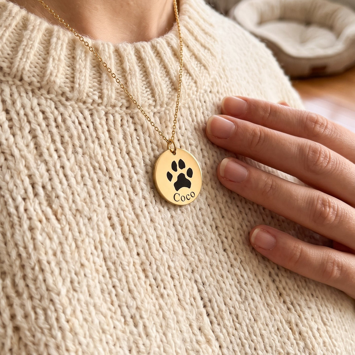 Collar con la huella de un perro y el nombre Coco puesto sobre un jersey de punto