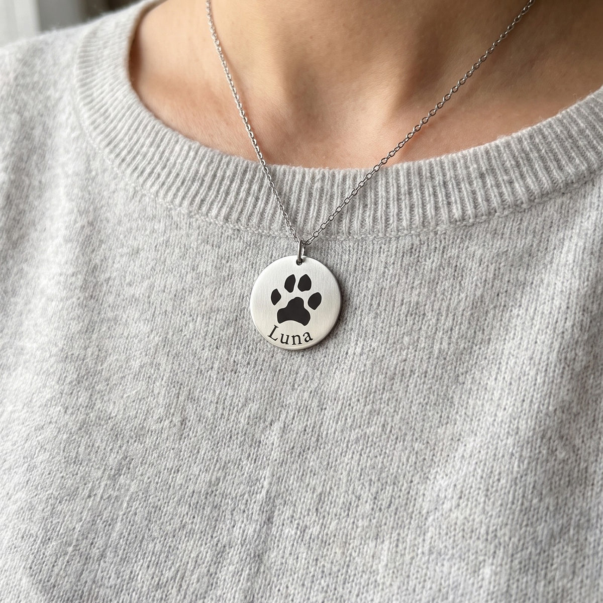 Collar de acero plateado con la huella de un perro grabada, puesto